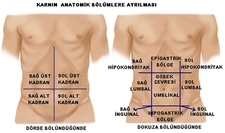 Karın Ağrısı Sebepleri Nelerdir?
